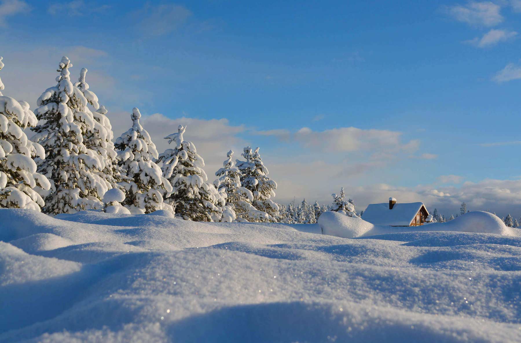 Pinzolo ski pass, Pinzolo