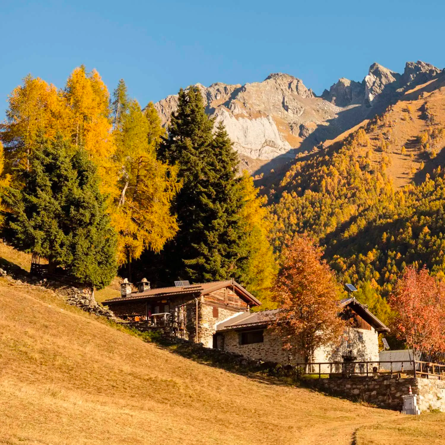mypass ski home skipass payperuse, Home Estate 2025