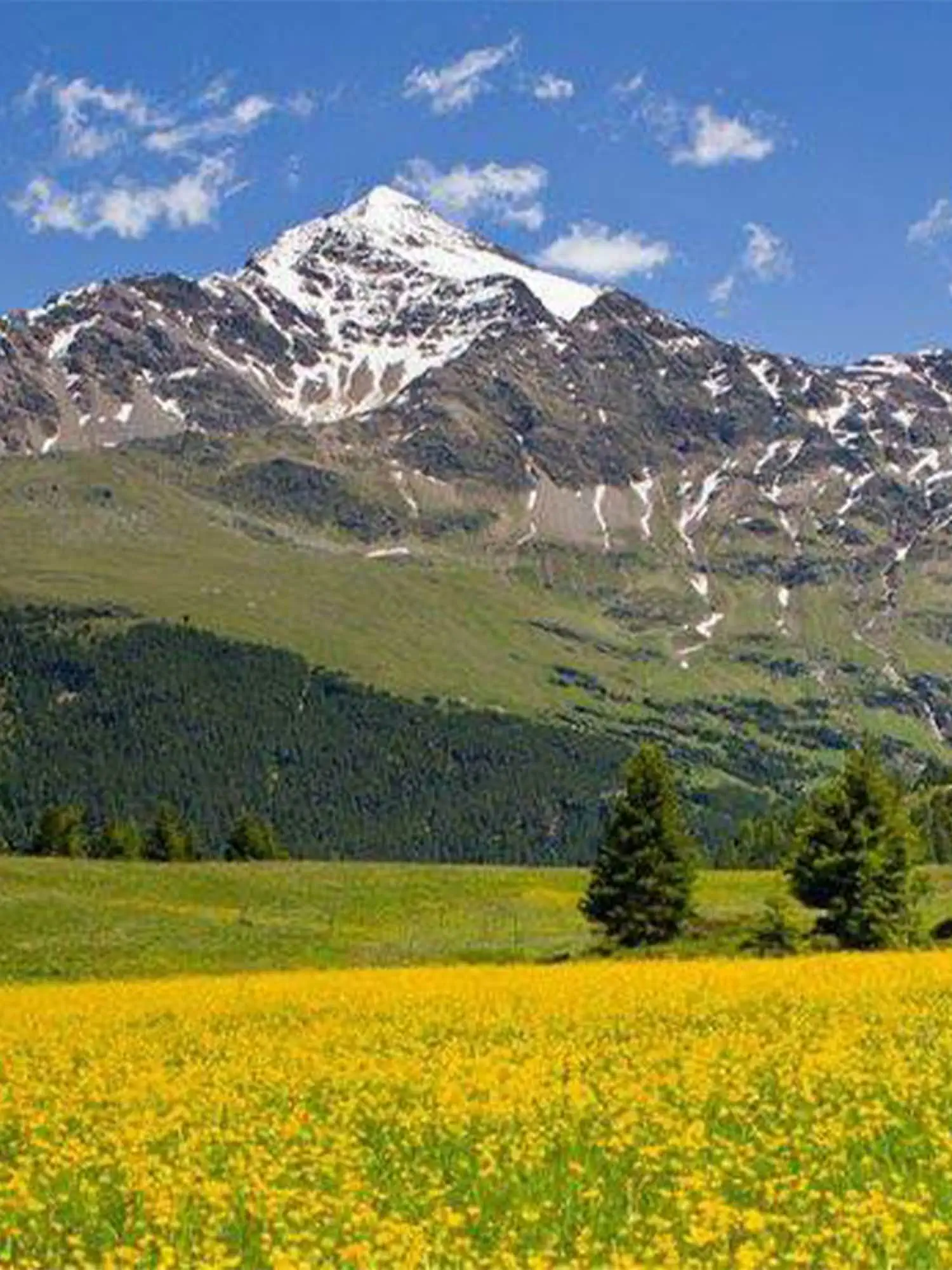 Montagna estiva 2025, Tariffe Estive